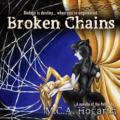 Cover of Broken Chains