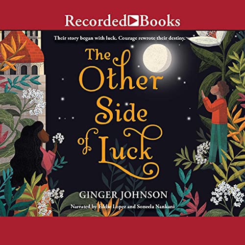 Cover of The Other Side of Luck