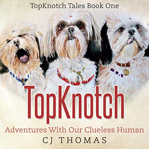 Cover of TopKnotch