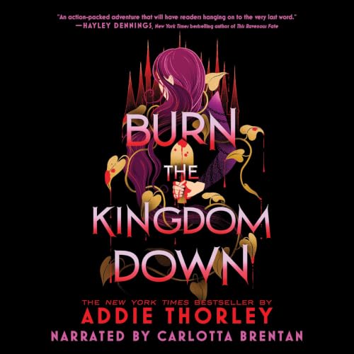 Cover of Burn the Kingdom Down