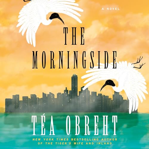 Cover of The Morningside