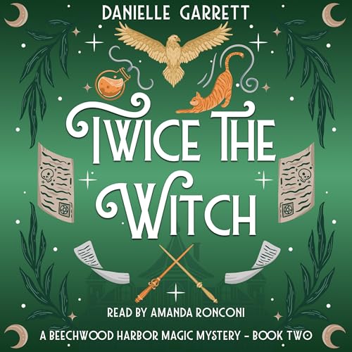 Cover of Twice the Witch