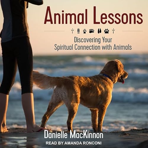 Cover of Animal Lessons