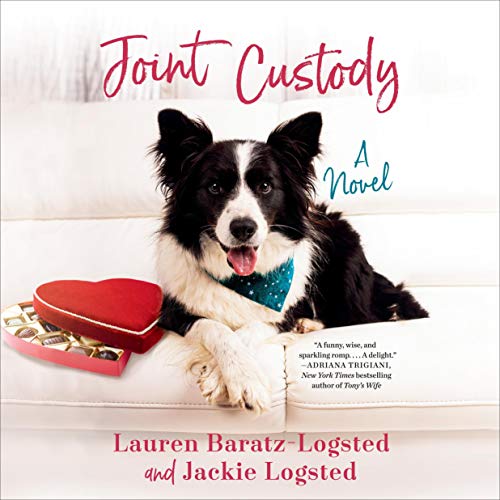 Cover of Joint Custody