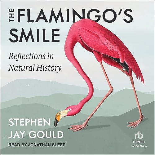 Cover of The Flamingo's Smile