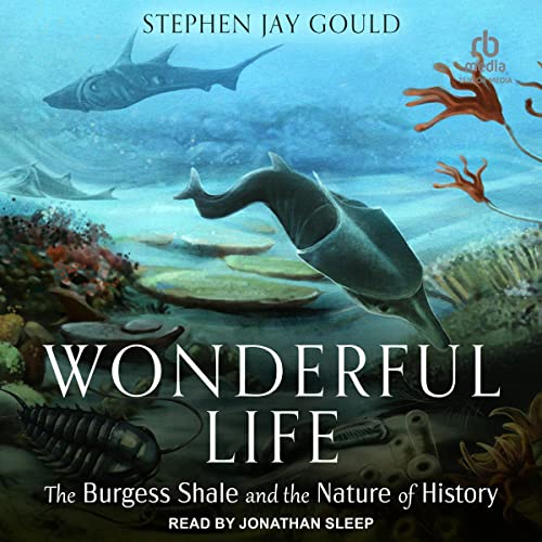 Cover of Wonderful Life