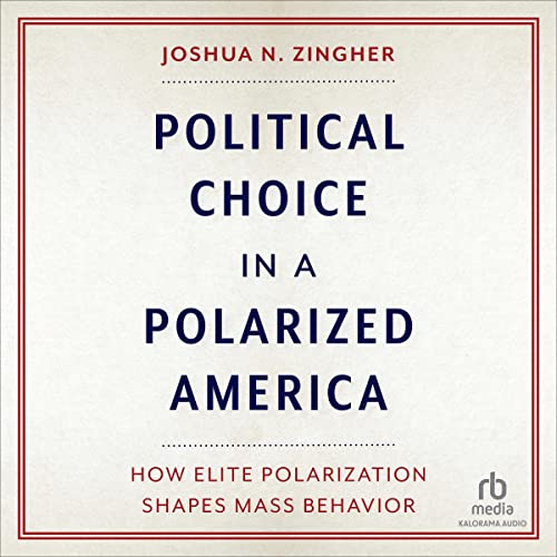 Cover of Political Choice in a Polarized America