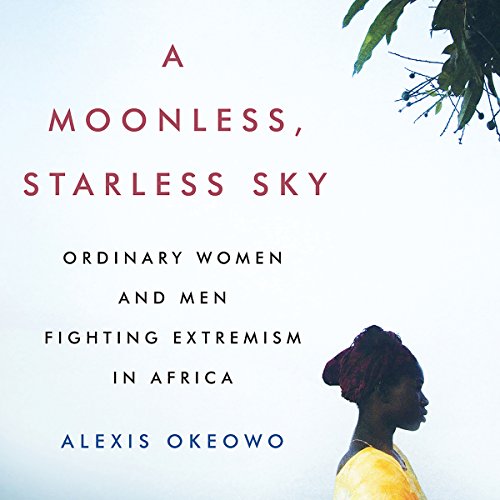 Cover of A Moonless, Starless Sky