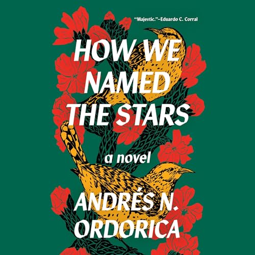 Cover of How We Named the Stars