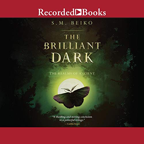 Cover of The Brilliant Dark