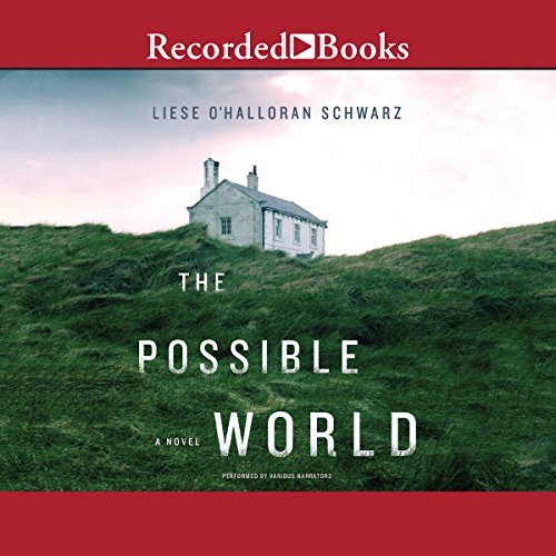 Cover of The Possible World