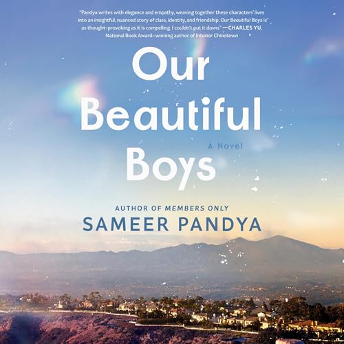 Cover of Our Beautiful Boys