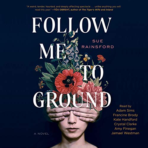 Cover of Follow Me To Ground