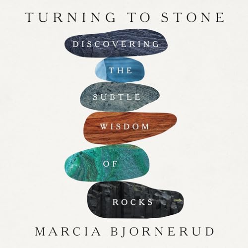 Cover of Turning to Stone