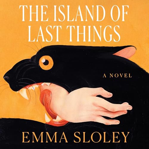 Cover of The Island of Last Things