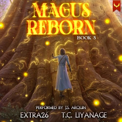 Cover of Magus Reborn 3