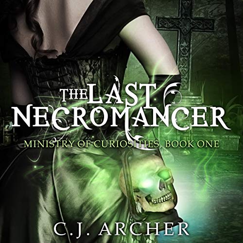 Cover of The Last Necromancer