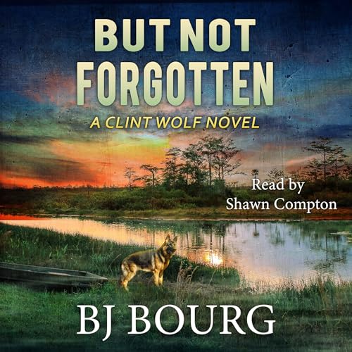 Cover of But Not Forgotten