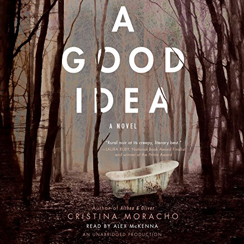 Cover of A Good Idea