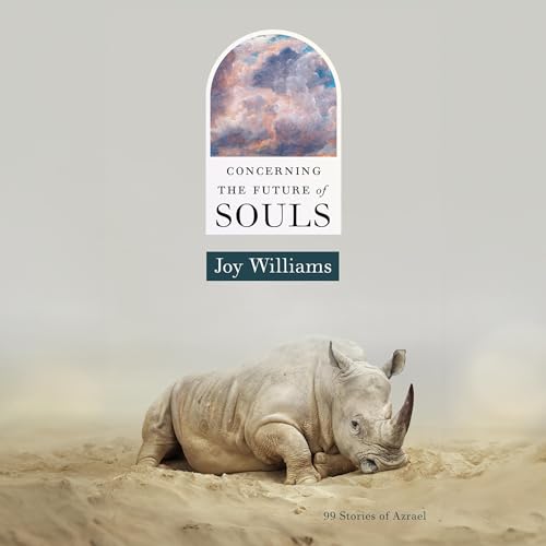 Cover of Concerning the Future of Souls
