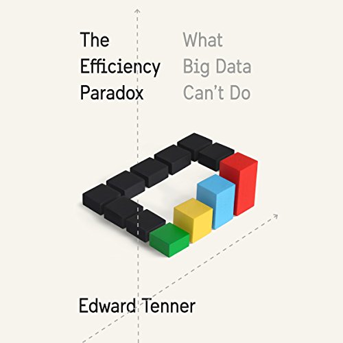 Cover of The Efficiency Paradox