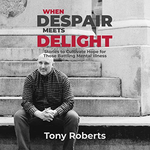 Cover of When Despair Meets Delight