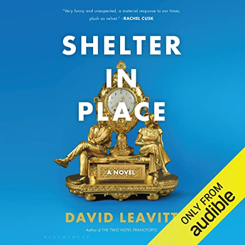 Cover of Shelter in Place
