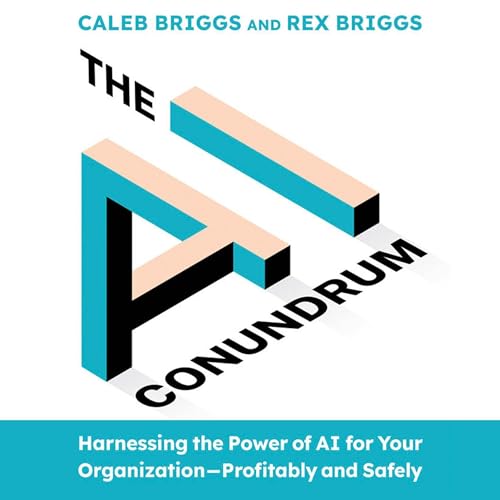 Cover of The AI Conundrum