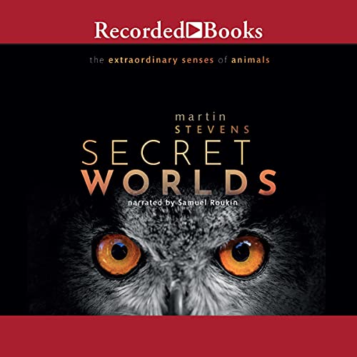 Cover of Secret Worlds