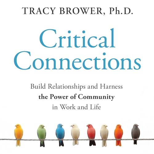 Cover of Critical Connections