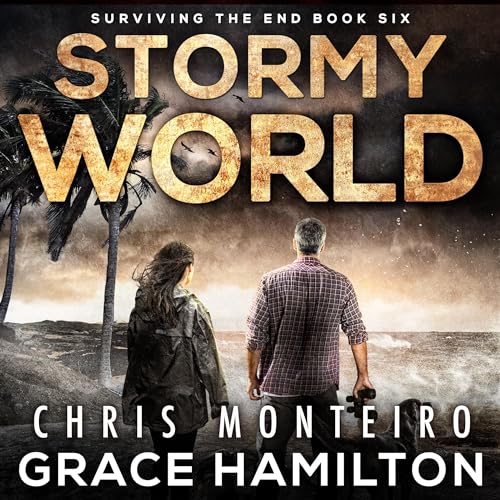 Cover of Stormy World