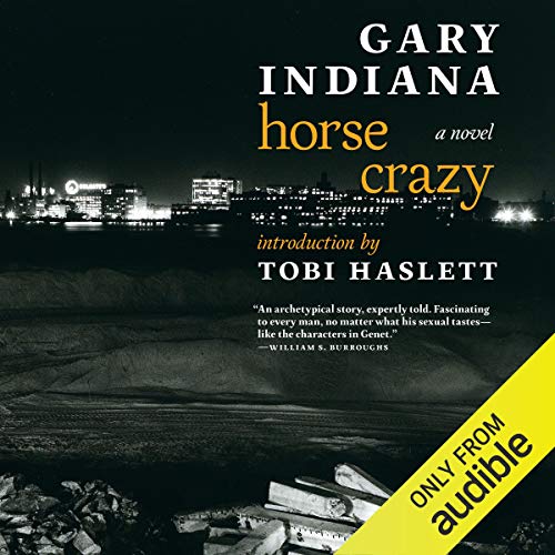 Cover of Horse Crazy