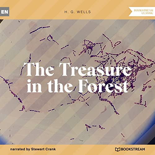 Cover of The Treasure in the Forest