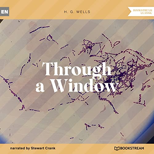 Cover of Through a Window