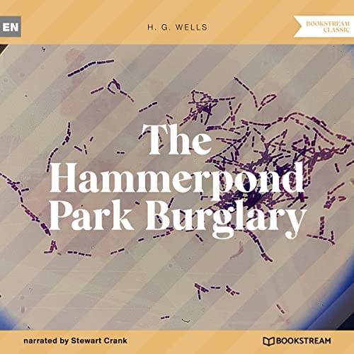 Cover of The Hammerpond Park Burglary