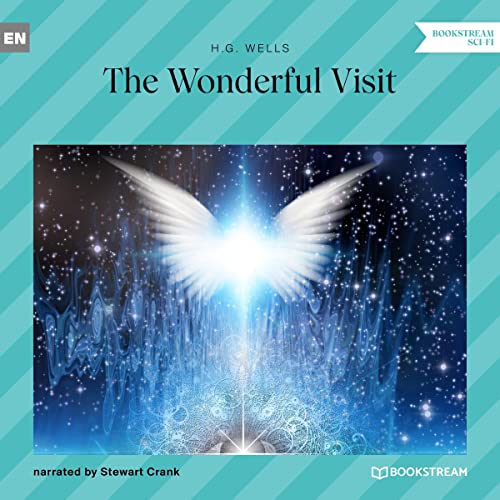 Cover of The Wonderful Visit