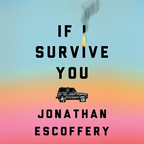 Cover of If I Survive You