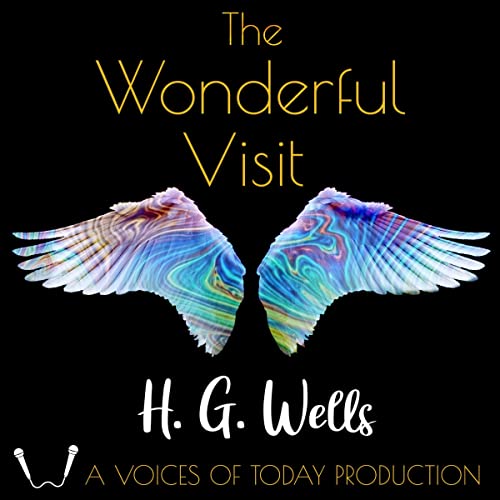 Cover of The Wonderful Visit