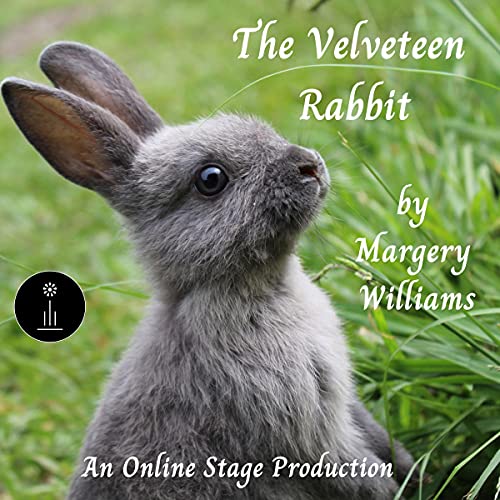 Cover of The Velveteen Rabbit