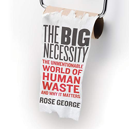 Cover of The Big Necessity