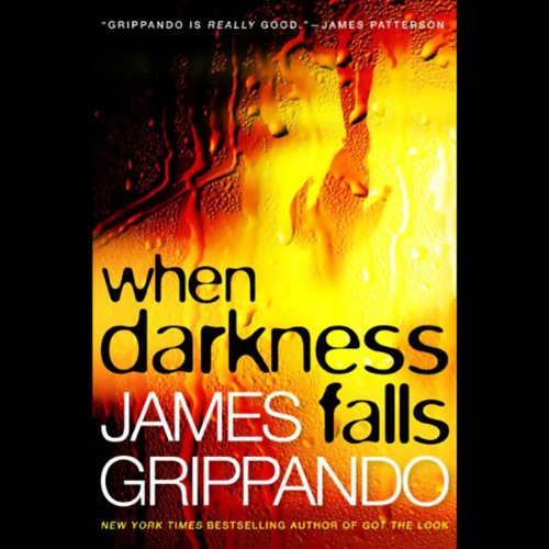 Cover of When Darkness Falls
