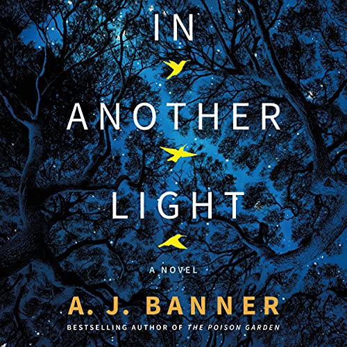 Cover of In Another Light