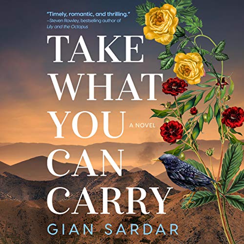 Cover of Take What You Can Carry