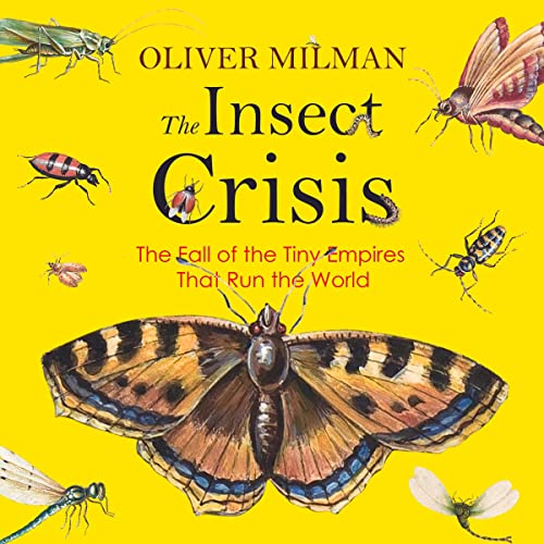 Cover of The Insect Crisis