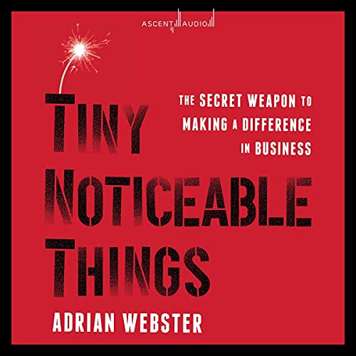 Cover of Tiny Noticeable Things