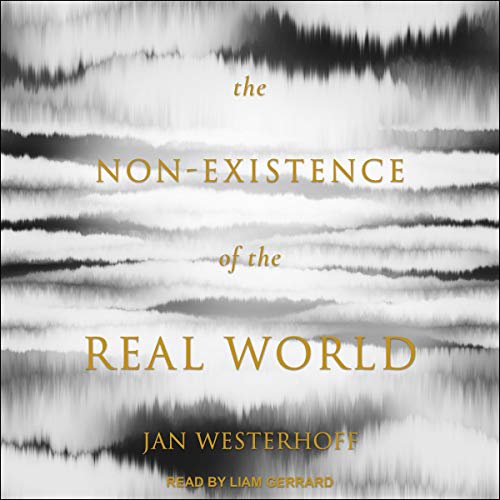 Cover of The Non-Existence of the Real World