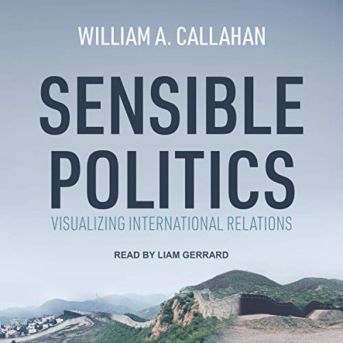 Cover of Sensible Politics