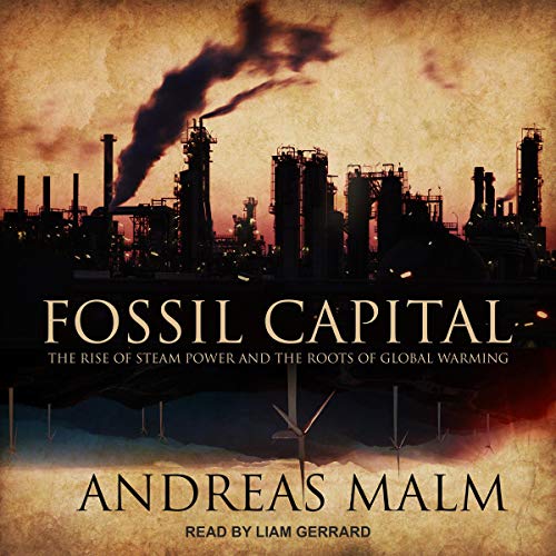 Cover of Fossil Capital