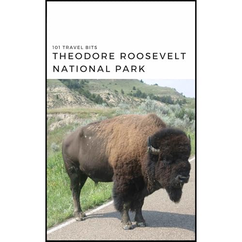 Cover of 101 Travel Bits: Theodore Roosevelt National Park