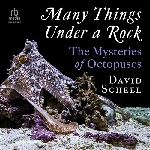 Cover of Many Things Under a Rock